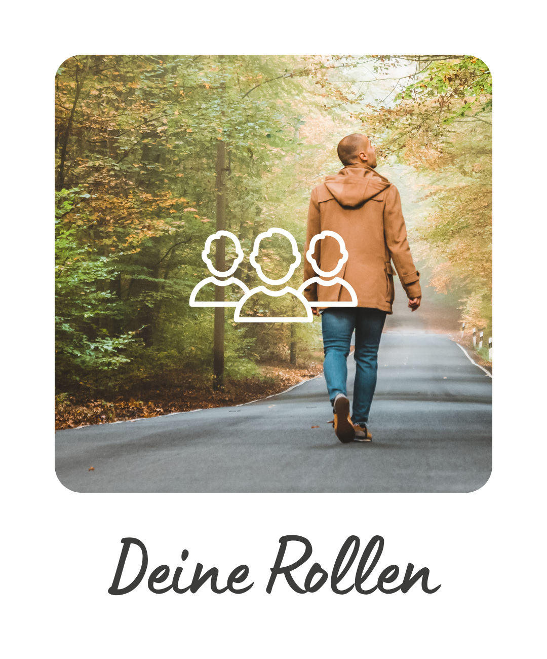 5_Folie_Rollen